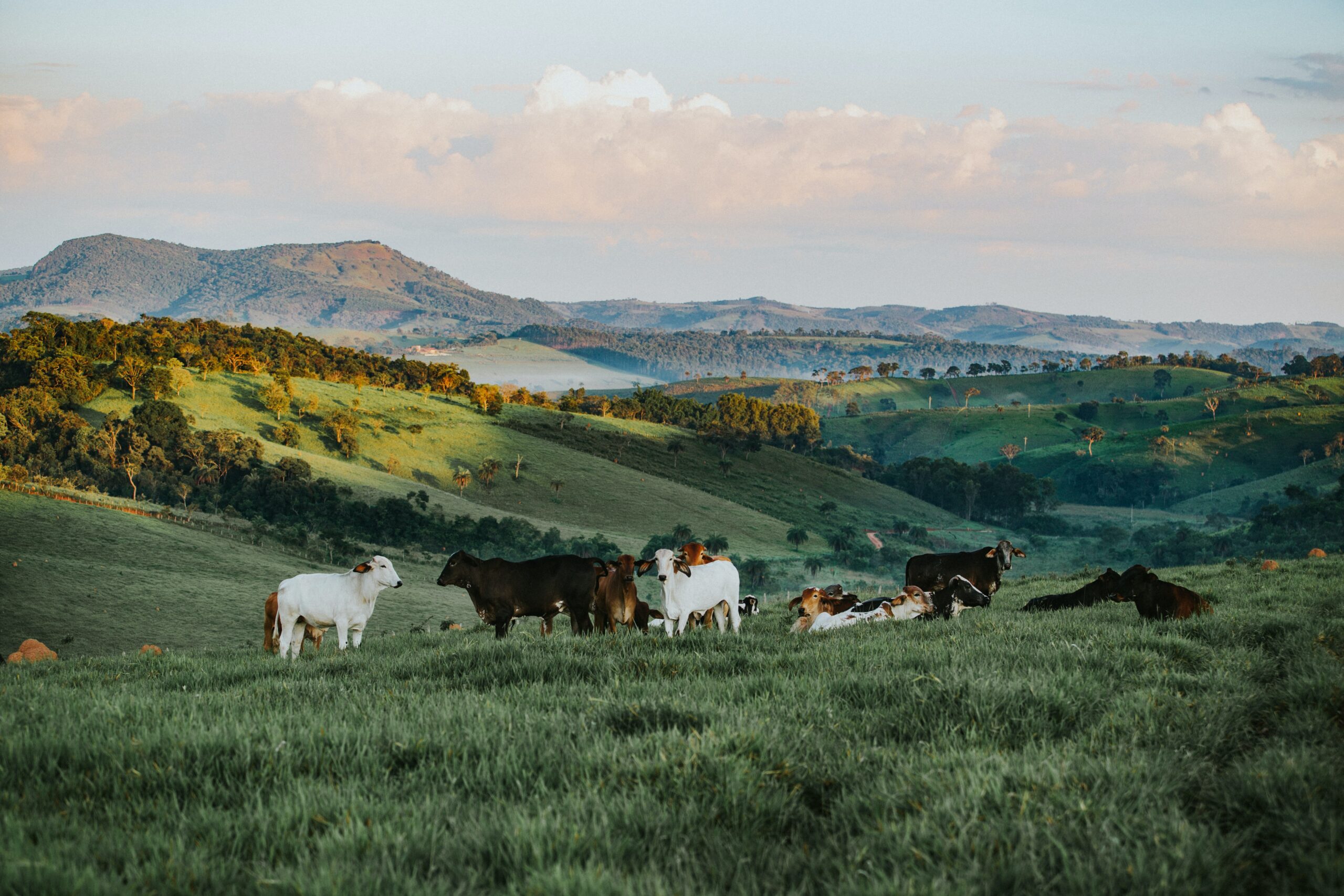 How asset managers are quietly revolutionising the use of biodiversity data