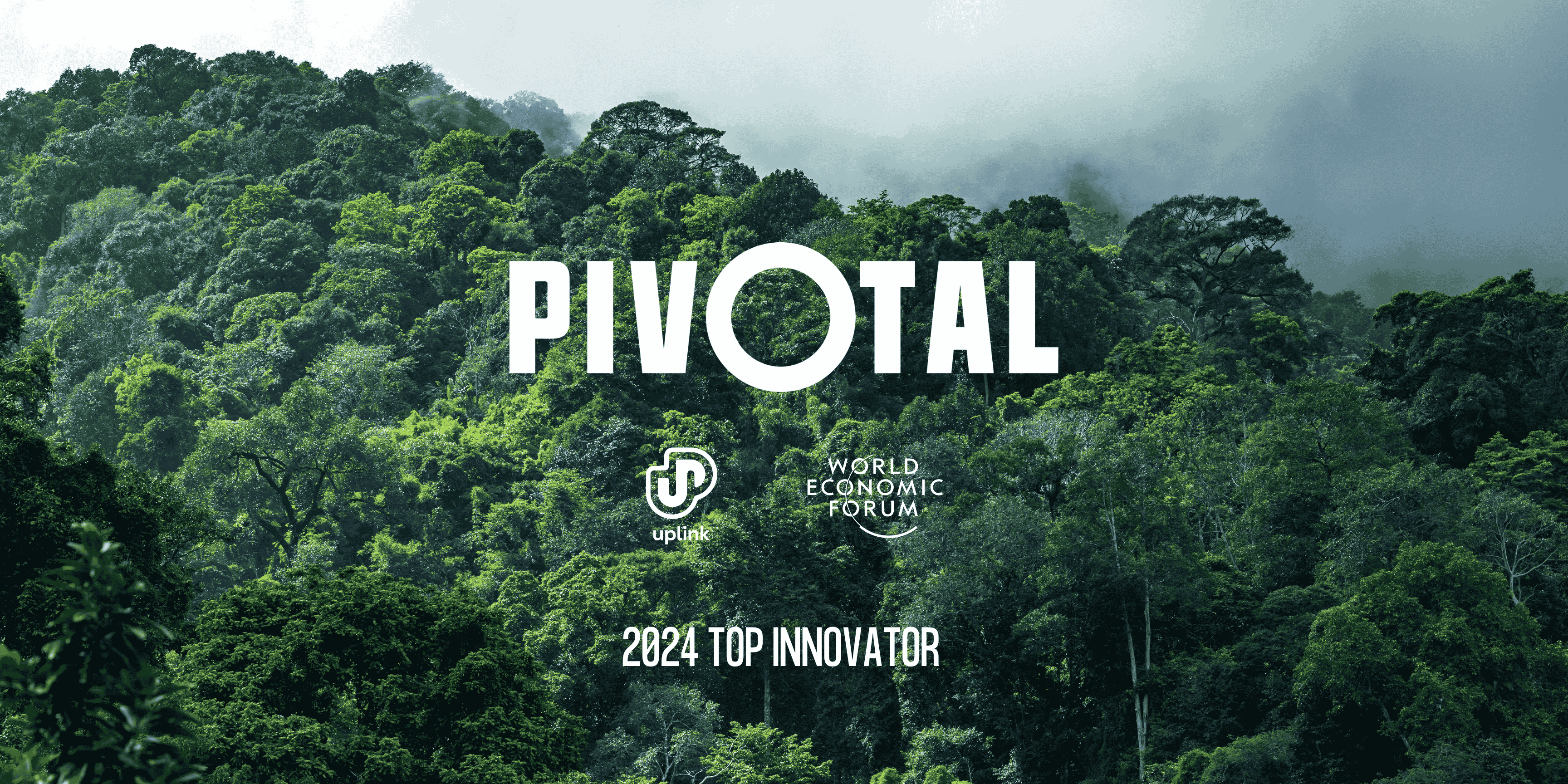 Pivotal named 2024 Top Innovator in Biodiversity 